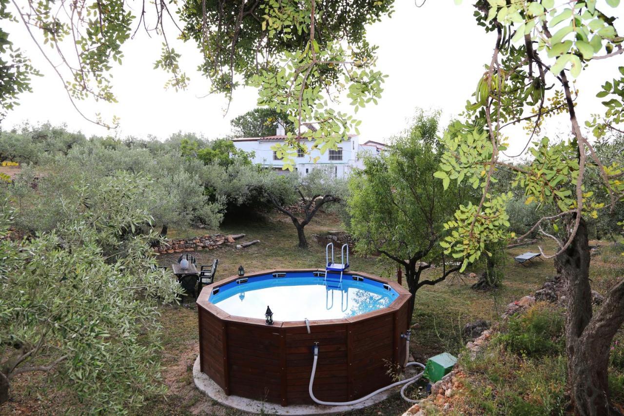 Yurta Mongola Delta Del Ebro Hotel Camarles Bagian luar foto