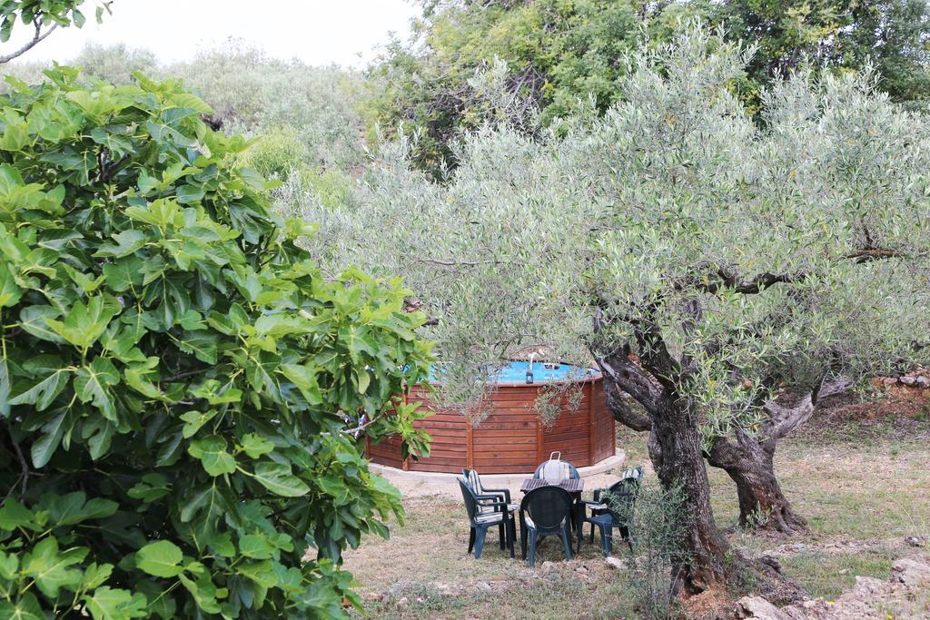 Yurta Mongola Delta Del Ebro Hotel Camarles Bagian luar foto