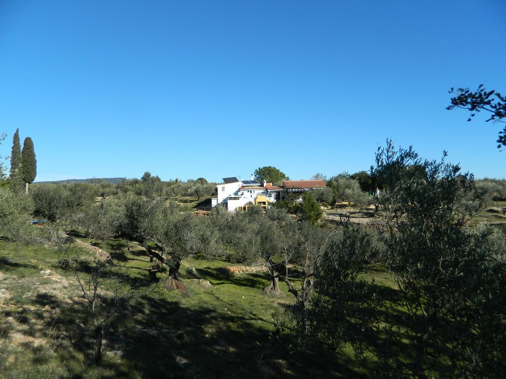 Yurta Mongola Delta Del Ebro Hotel Camarles Bagian luar foto