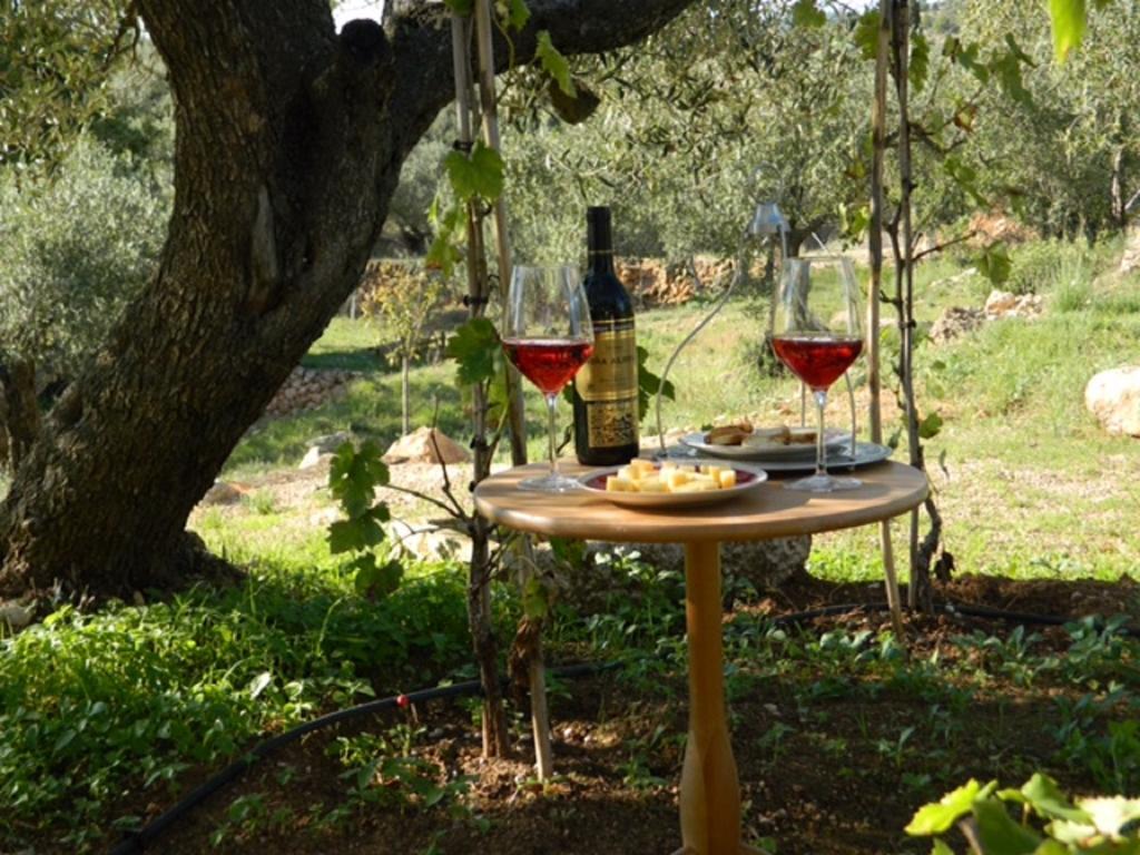 Yurta Mongola Delta Del Ebro Hotel Camarles Bagian luar foto